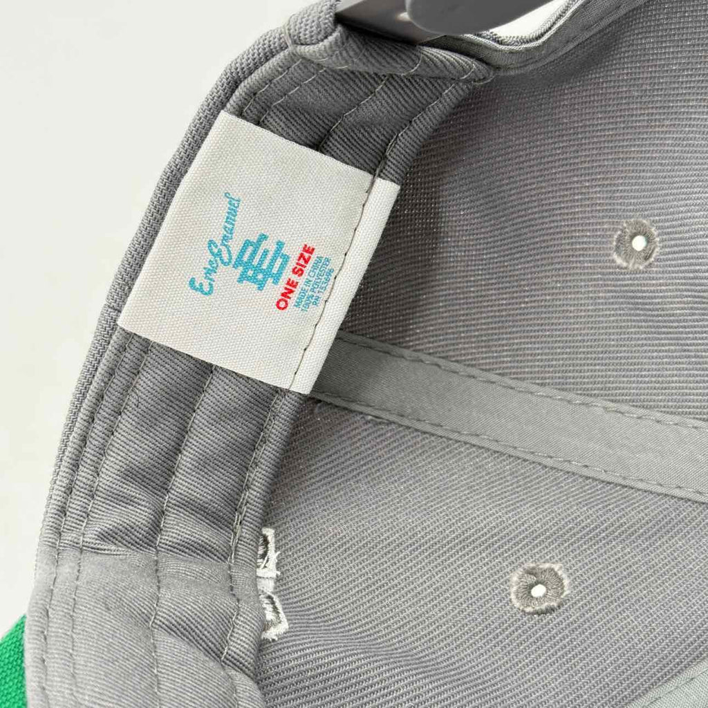 Eric Emanuel Snapback Used Grey Size OS