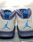 Air Jordan 10 Retro "Rio" 2016 Used Size 9.5