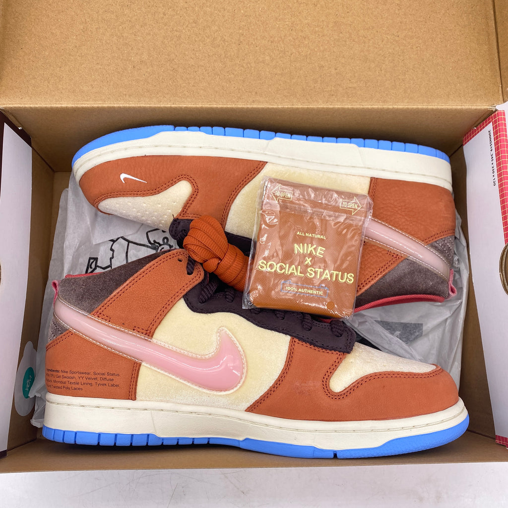 Nike Dunk / SS "Chocolate Milk Ss" 2021 New Size 10