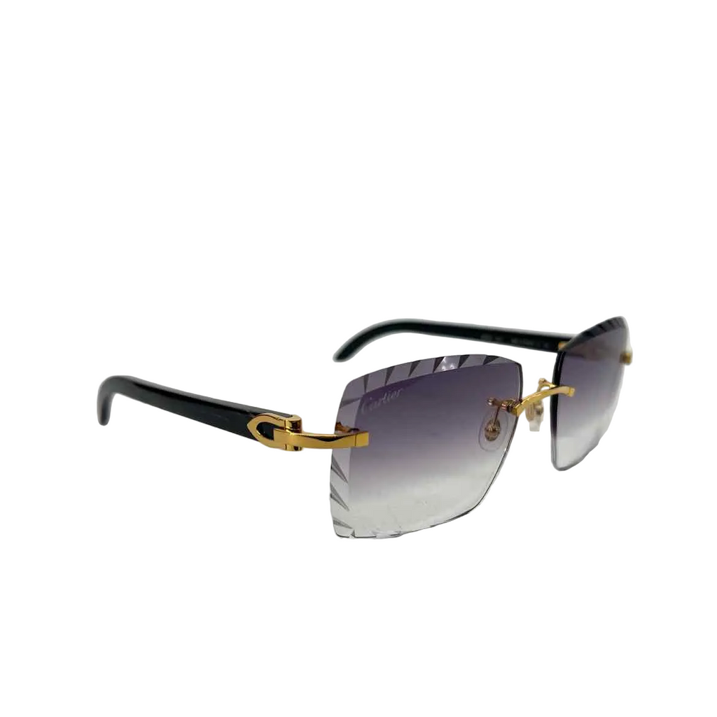 Cartier Sunglasses "BLACK HORN" New Black Size OS