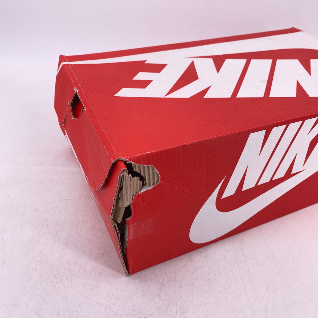 Nike Dunk Low "Plum" 2020 Used Size 13