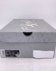 Air Jordan 4 Retro "Photon Dust" 2023 Used Size 11