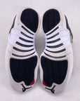 Air Jordan 12 Retro "Playoff" 2022 Used Size 8