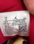 Air Jordan 3 Retro "Cardinal" 2022 Used Size 9