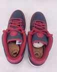 Nike SB Dunk Low "Riot Skateshop" 2025 New Size 9.5