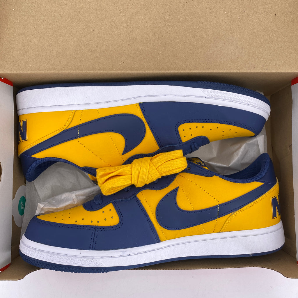 Nike Terminator Low "Michigan" 2023 New Size 10