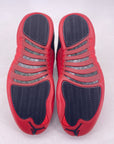 Air Jordan 12 Retro "Flu Game" 2025 New Size 10.5