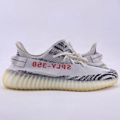 Latest Collection Image