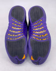 Air Jordan 12 Retro "Field Purple" 2023 Used Size 9