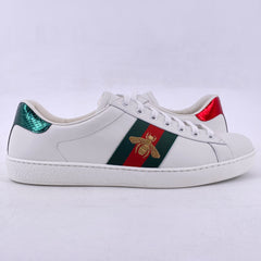 Latest Collection Image