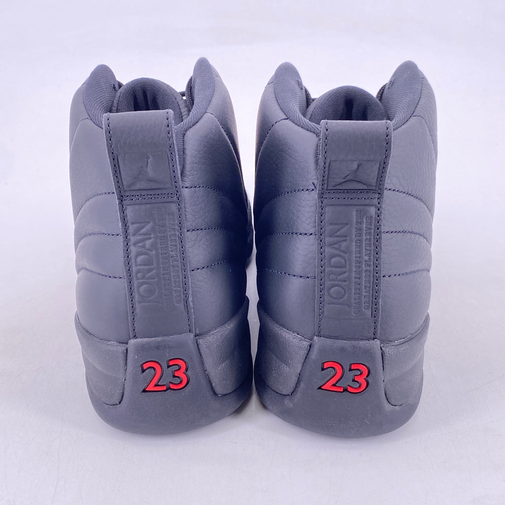 Air Jordan 12 Retro "Bloodline" 2026 New Size 11.5