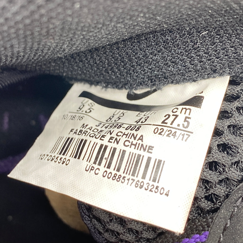 Nike Air Foamposite One "Eggplant" 2017 Used Size 9.5