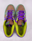 Nike Dunk Low "Veneer" 2024 New Size 11