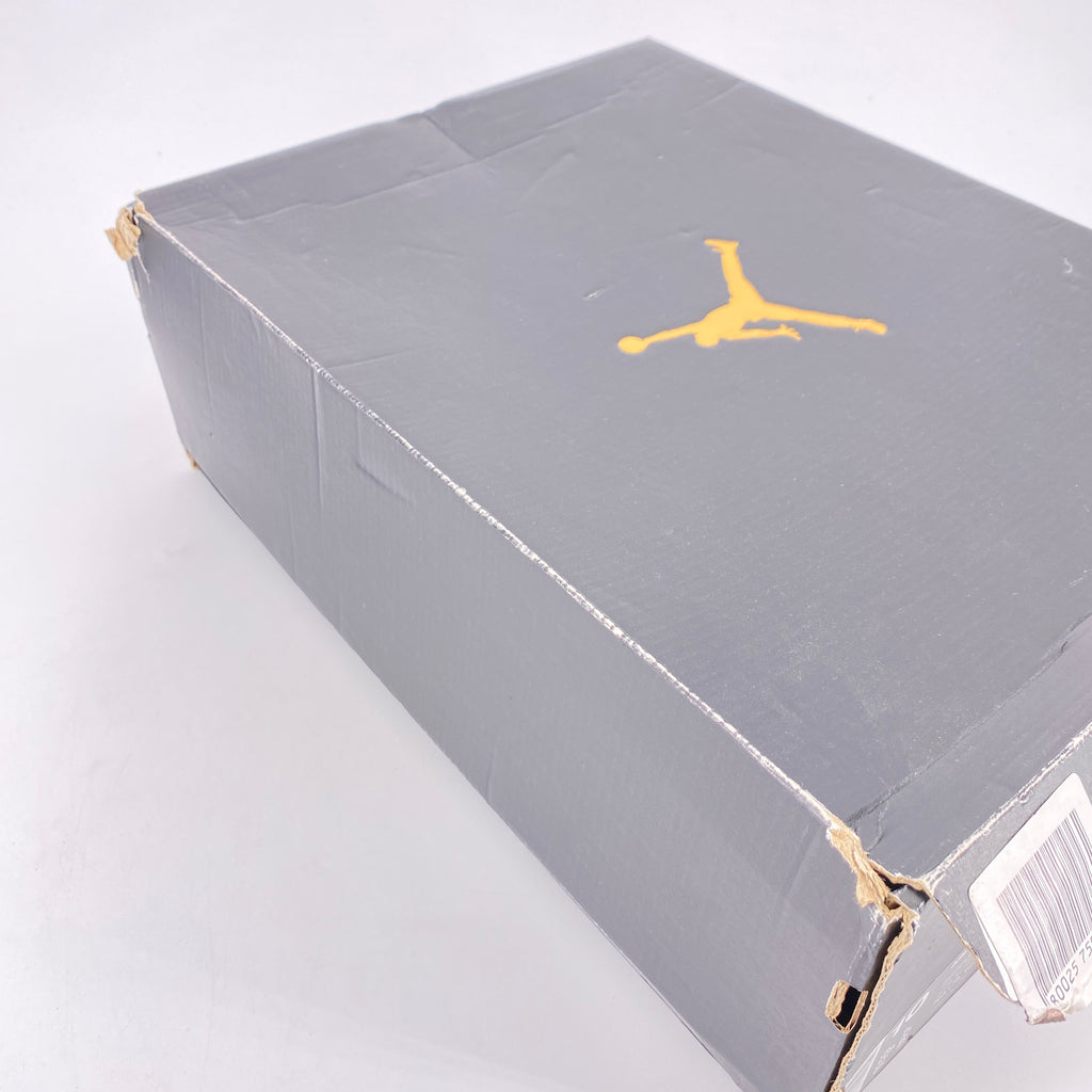 Air Jordan 10 Retro "Bulls Over Bway" 2015 Used Size 10