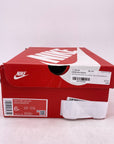 Nike (GS) Dunk Low "Phantom Light Silver" 2024 New Size 6Y