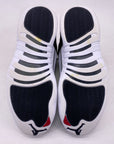 Air Jordan 12 Retro "Playoff" 2022 Used Size 10.5