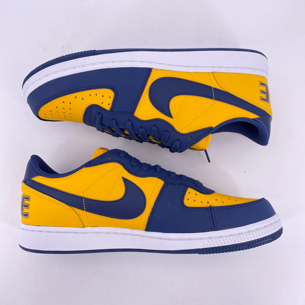 Nike Terminator Low "Michigan" 2023 New Size 10