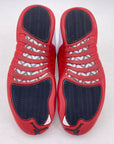 Air Jordan 12 Retro "Cherry" 2023 Used Size 11.5