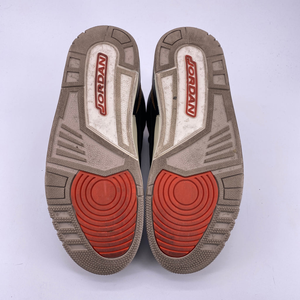 Air Jordan 3 Retro "Desert Elephant" 2022 Used Size 9.5