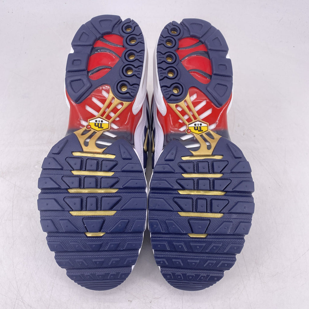 Nike Air Max Plus "Psg" 2024 New Size 10