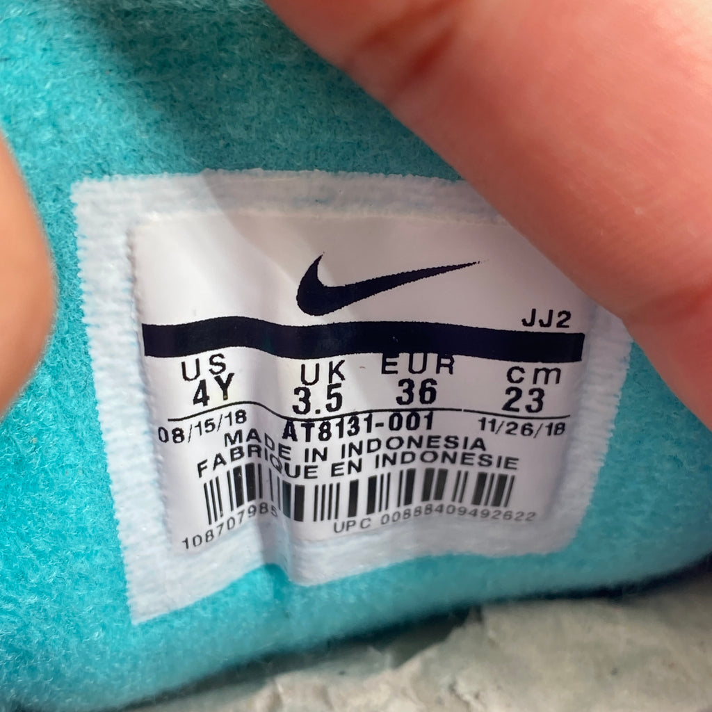 Nike Air Max 1 (GS) "Have A Nike Day" 2019 Used Size 4Y