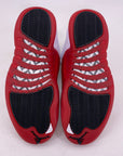 Air Jordan 12 Retro "Cherry" 2023 New Size 7.5