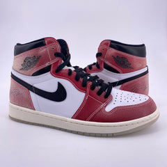 Latest Collection Image