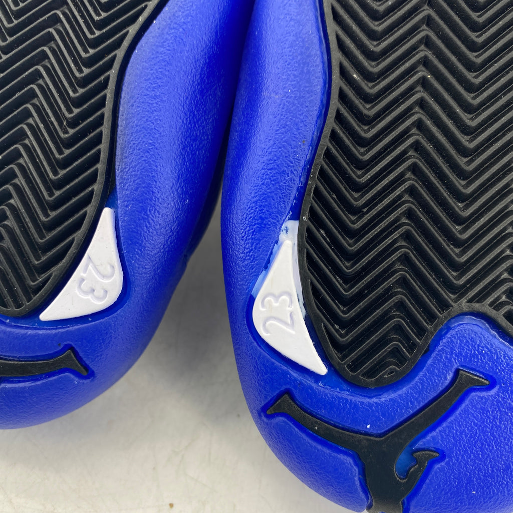Air Jordan 12 Retro "Blueberry" 2024 New Size 10