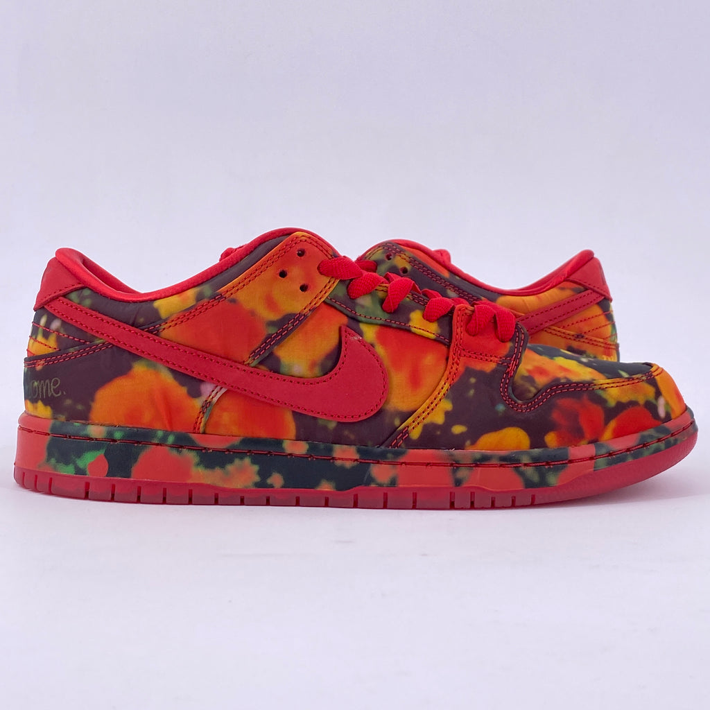 Nike SB Dunk Low "Wizard Of Oz" 2024 New Size 11
