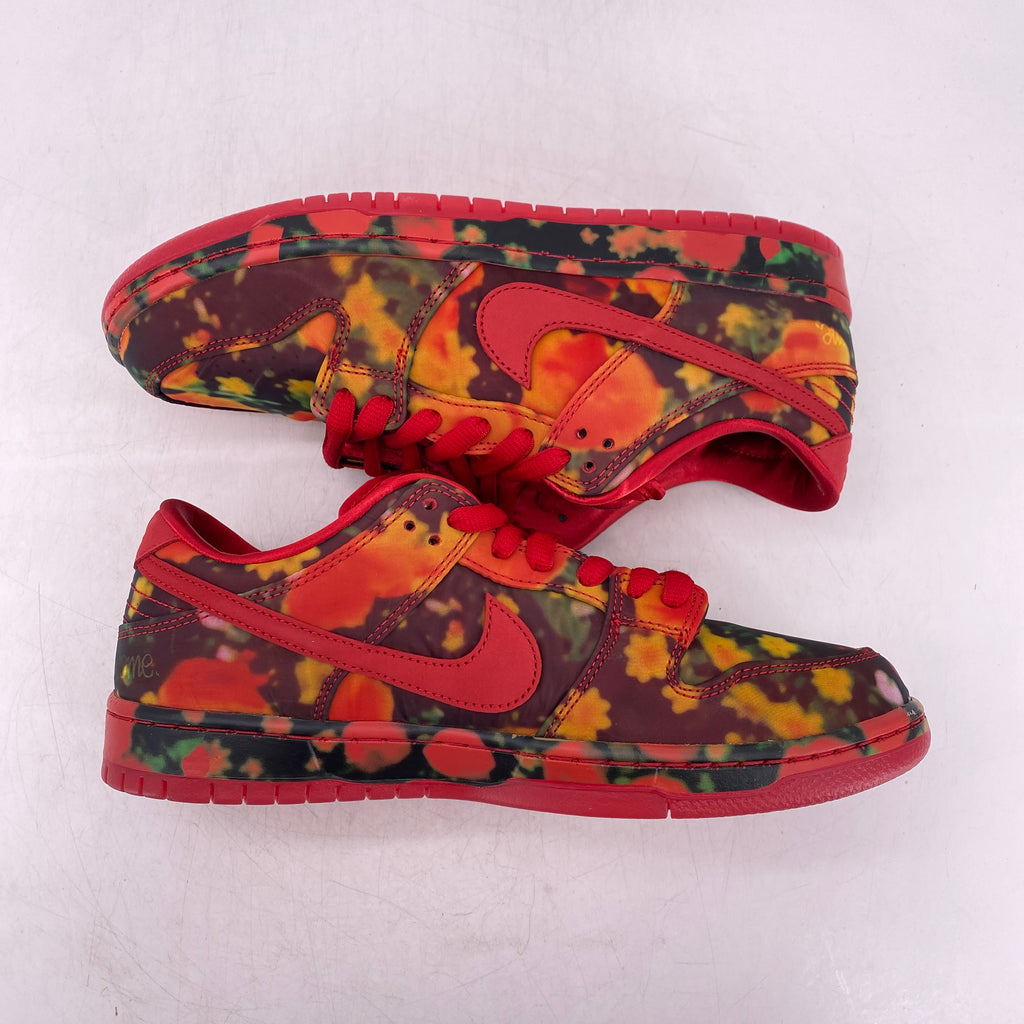 Nike SB Dunk Low "Wizard Of Oz" 2024 New Size 9.5