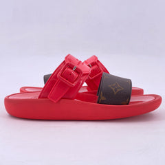 Latest Collection Image