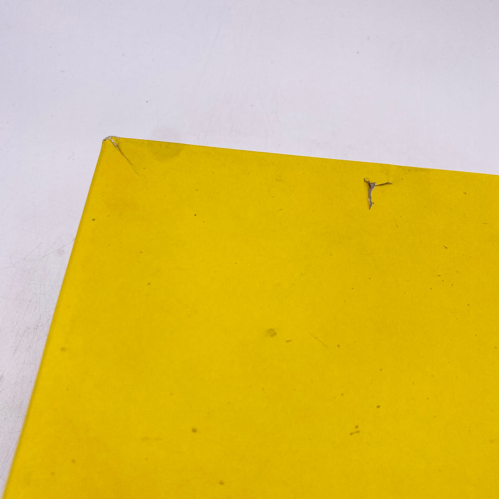 Air Jordan 4 Retro "Lightning" 2021 Used Size 14