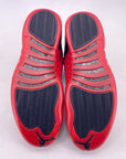 Air Jordan 12 Retro "Flu Game" 2025 New Size 13