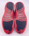 Air Jordan 12 Retro "Flu Game" 2025 New Size 12