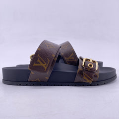 Latest Collection Image