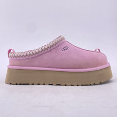 Latest Collection Image