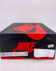 Air Jordan 1 Retro High OG "Bio Hack" 2020 Used Size 13