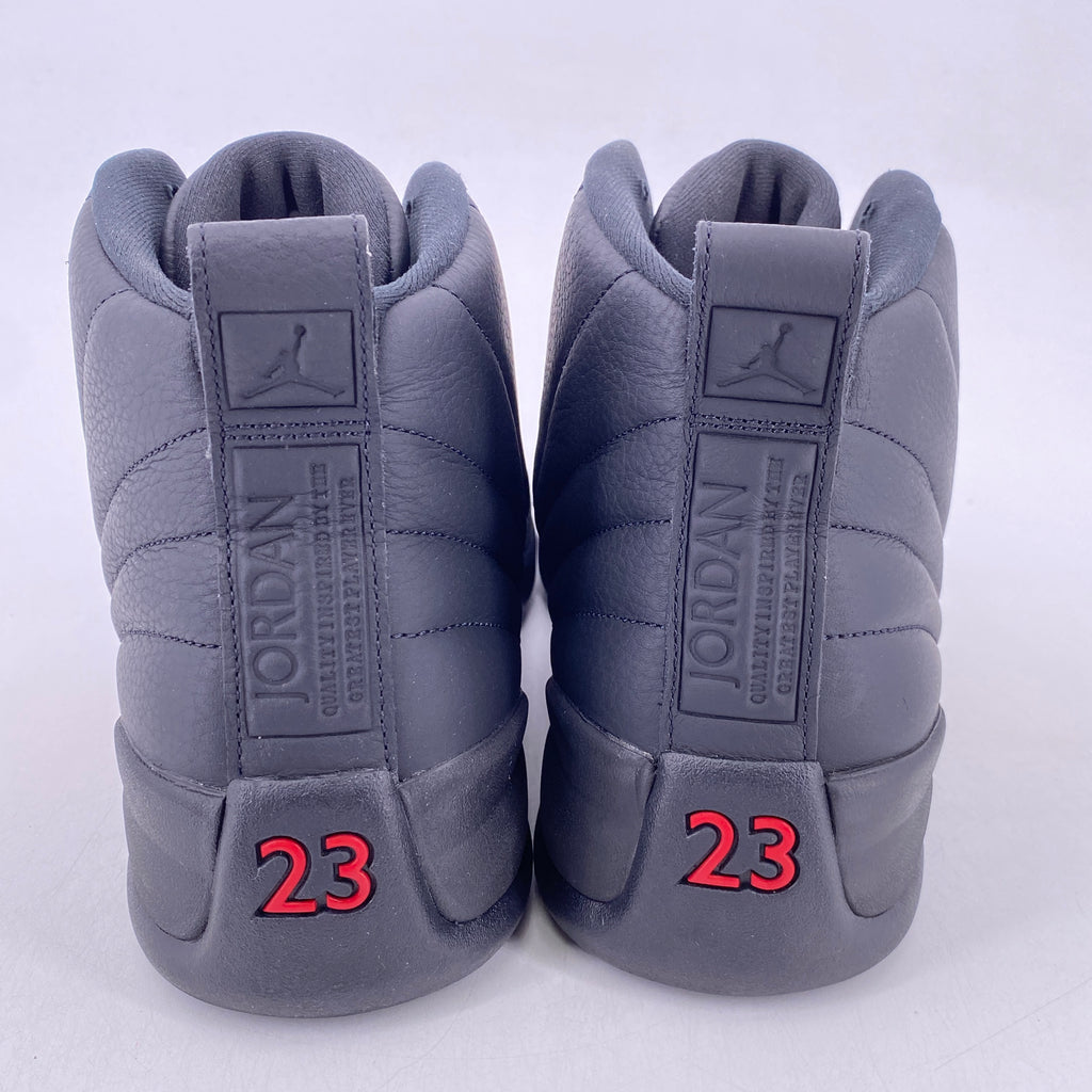 Air Jordan 12 Retro "BLOODLINE" 2026 Used Size 13