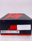 Air Jordan 1 Retro High "Bio Hack" 2020 Used Size 9.5