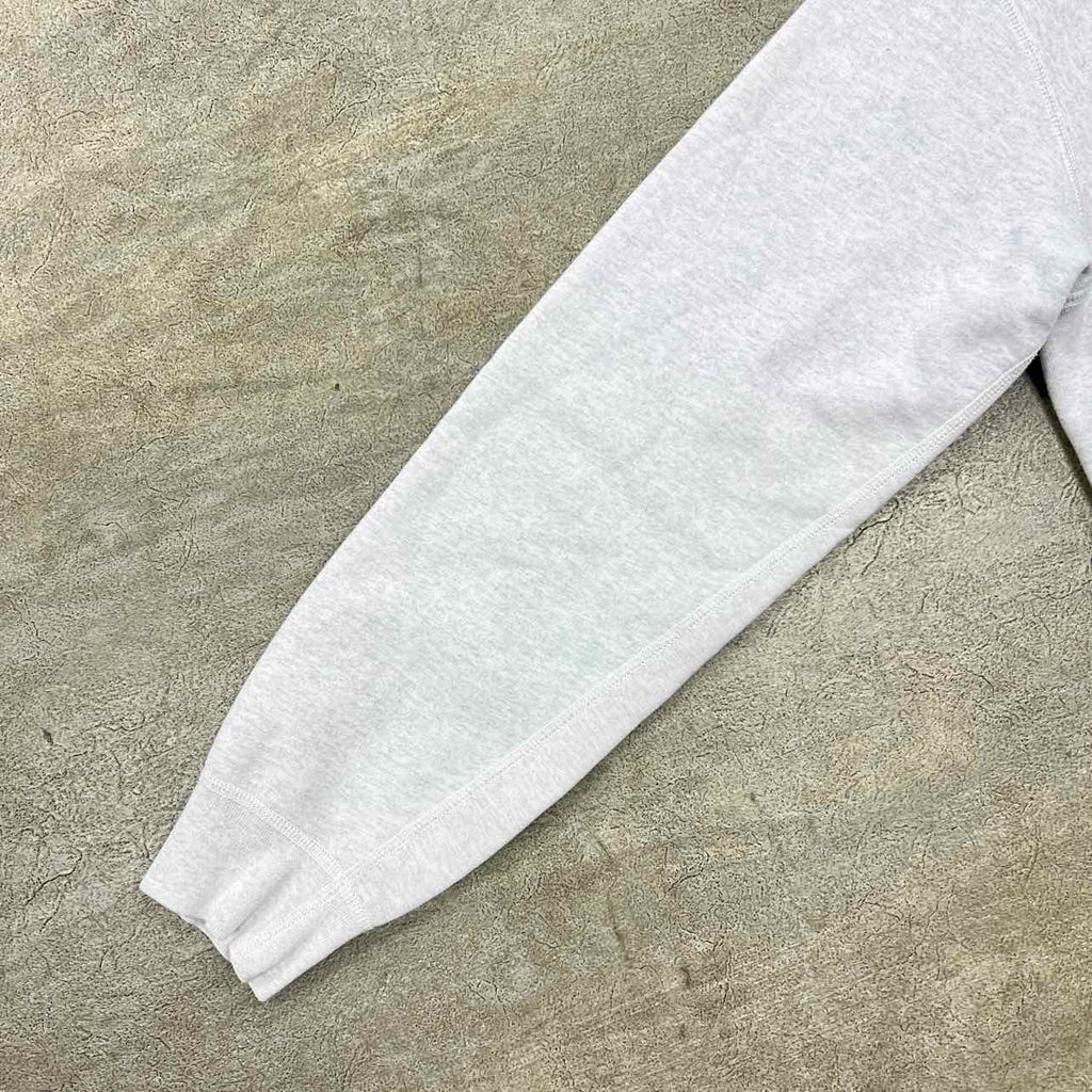 Supreme Hoodie "APPLE" Ash Used Size L