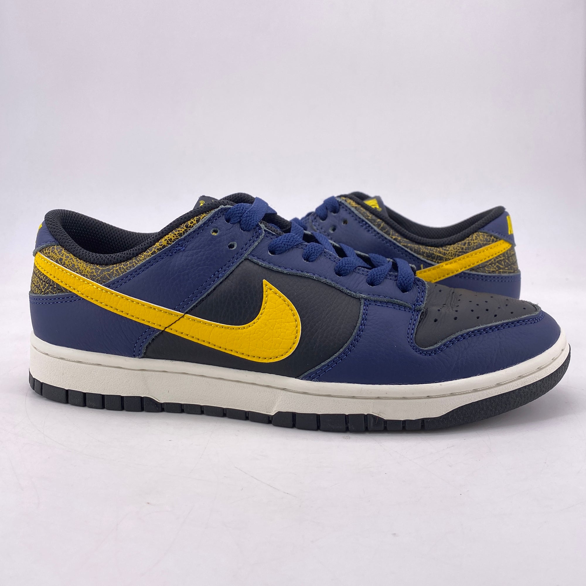 Nike Dunk Low &quot;Vintage Michigan&quot; 2023 Used Size 9.5