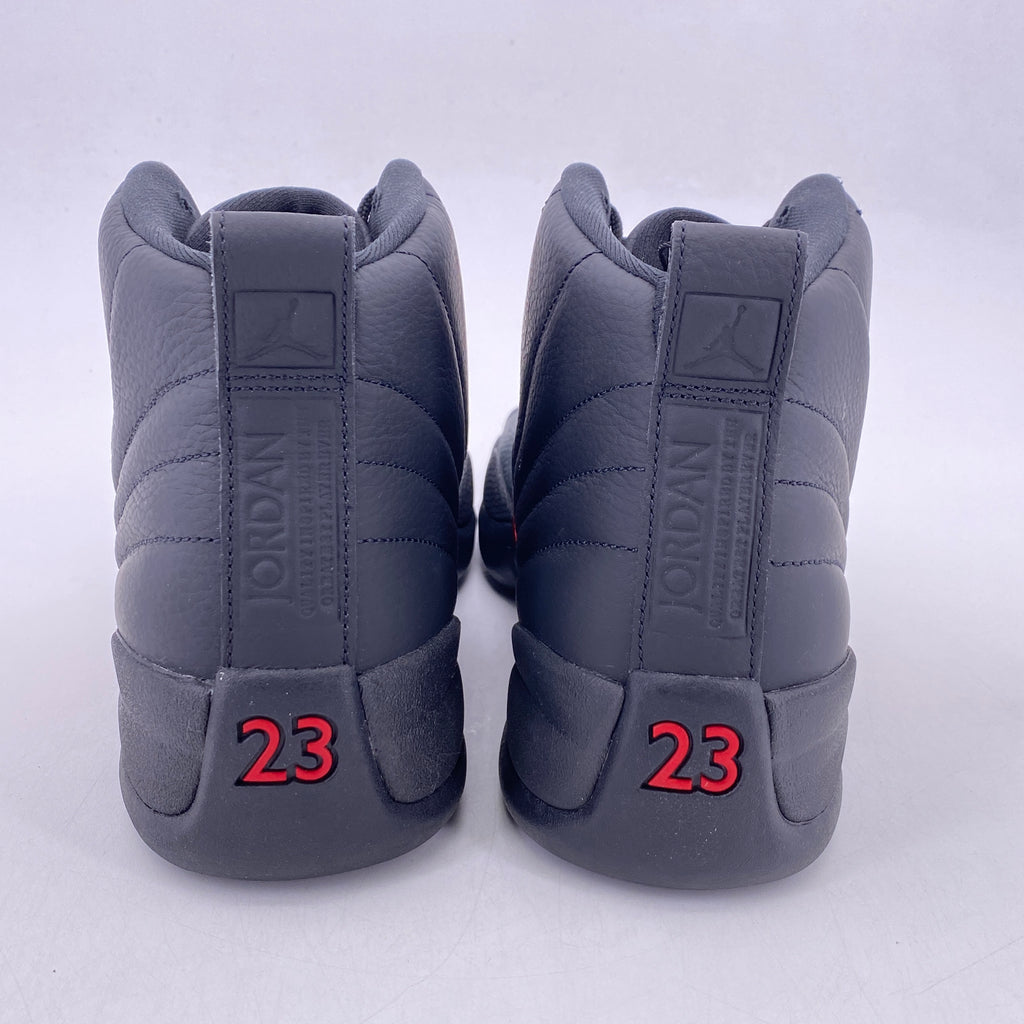 Air Jordan 12 Retro "Bloodline" 2026 New Size 10.5