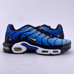 Latest Collection Image