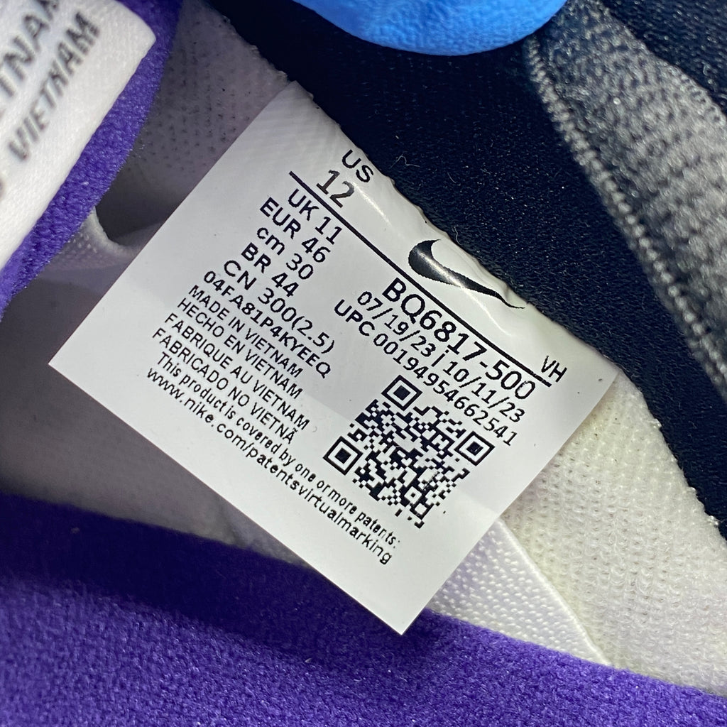 Nike SB Dunk Low "Court Purple" 2024 New Size 12