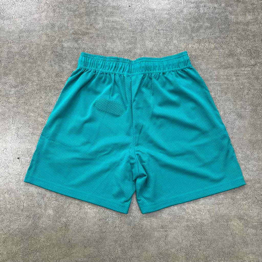 Eric Emanuel Mesh Shorts "BASIC LOGO" Frosty Spruce New Size M