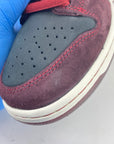 Nike SB Dunk Low "Riot Skateshop" 2025 New Size 9.5