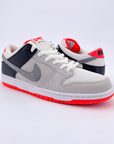 Nike SB Dunk Low "Infrared" 2020 New (Cond) Size 11