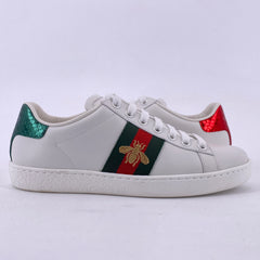 Latest Collection Image