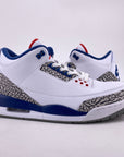 Air Jordan 3 Retro "True Blue" 2016 Used Size 12.5