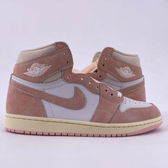 Latest Collection Image
